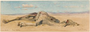 Nel Deserto da Carl Haag