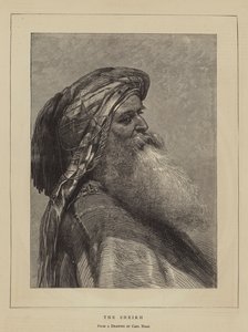 Lo sceicco da Carl Haag