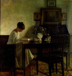 Ragazza che legge in un interno da Carl Holsoe