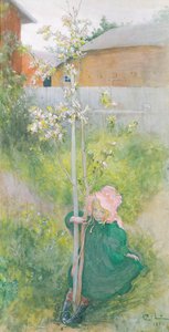 Fioritura di melo, 1894