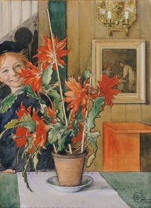 Il cactus di Brita, 1904 da Carl Larsson