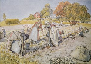Scavando patate da Carl Larsson