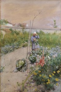  da Carl Larsson
