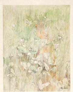 Kallor da Carl Larsson