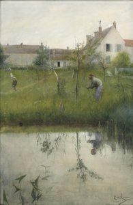 Il vecchio e il giardino d