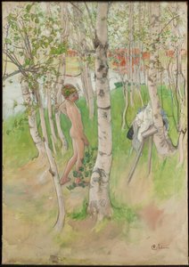  da Carl Larsson