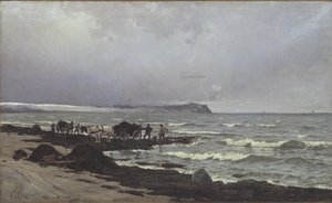 Caricamento di alghe sulla spiaggia di Hornbæk