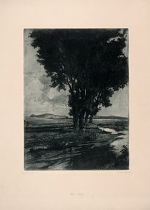 Pioppi neri