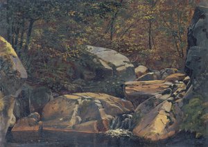 Ruscello nel bosco (Cascata tra massi rocciosi) da Carl Morgenstern
