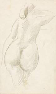 Vista posteriore di nudo femminile