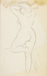 Nudo femminile da Carl Newman