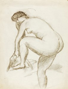 Nudo femminile da Carl Newman