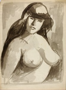 Torso femminile nudo