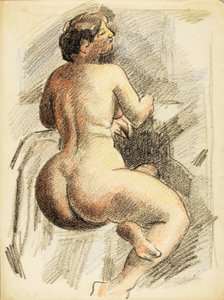 Nudo femminile seduto da Carl Newman