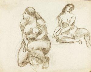 Due nudi femminili da Carl Newman