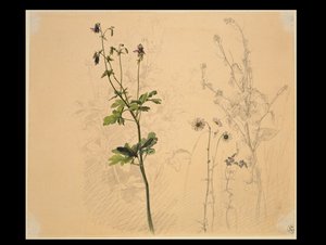  da Carl Philipp Fohr