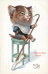 Cartolina umoristica con gatto