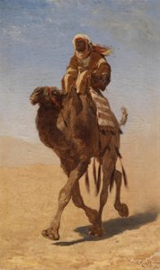 Tedesco: Cammelliere