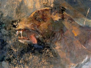 Testa di cane da Carl Rudolf Huber