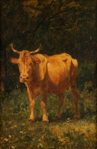 Mucca color pane