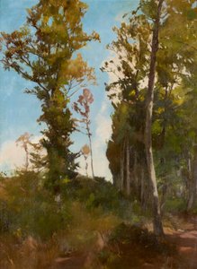 Radura nel bosco vicino a Purkersdorf