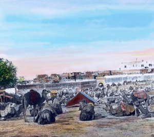 Nord del Marocco, Souk a Tangeri, data immagine: circa 1910. Archivio Carl Simon da Carl Simon