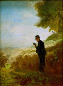 La passeggiata da Carl Spitzweg