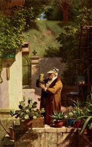 Cactus da Carl Spitzweg