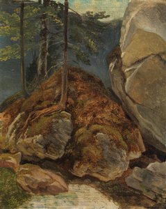 Studio a olio con roccia coperta di muschio