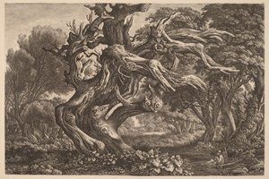 Un Albero di Quercia Morto
