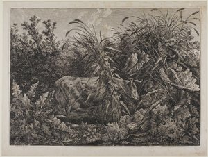 Mucca in un ruscello da Carl Wilhelm Kolbe the elder