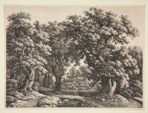 Paesaggio forestale da Carl Wilhelm Kolbe the elder