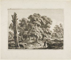 Paesaggio