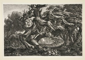 Paesaggio