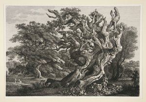 Paesaggio