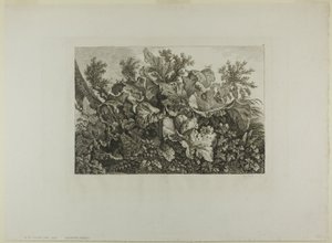 Piante di palude da Carl Wilhelm Kolbe, the elder