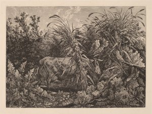 La Mucca nella Palude da Carl Wilhelm Kolbe, the elder