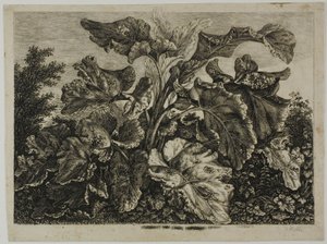Foglio di verdure