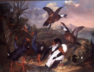 Uccelli in un paesaggio da Carl Wilhelm de Hamilton