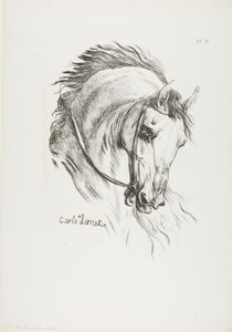 Particolare della testa di un cavallo, ingrandita a grandezza tripla, Hussard, Guardia Reale, n. 6 da Carle Vernet