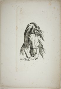 Particolare della testa di cavallo, ingrandita a grandezza tripla, Guardia Reale Normanna, n. 1 da Carle Vernet