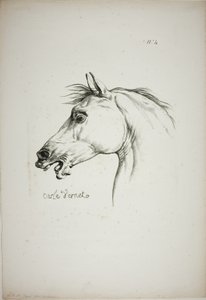 Particolare della testa di cavallo, ingrandita a grandezza tripla, Guardia Reale Normanna, n. 4 da Carle Vernet