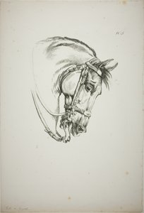 Particolare della testa di cavallo, ingrandita a grandezza tripla, Guardia Reale Normanna, n. 5, Primo Cavallo di Limoges
