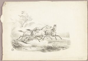 Tre cavalli in corsa da Carle Vernet