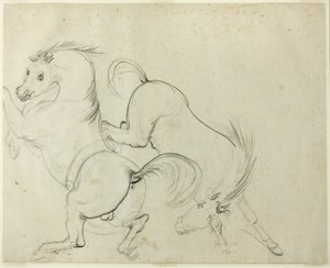 Due Cavalli che Giocano (recto); Uomo su un Cavallo che Calcia (verso) da Carle Vernet