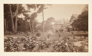 Hotel del Monte, Monterey, giardino delle rose da Carleton E. Watkins