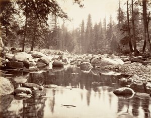 Fiume Merced, ca. 1872, stampato ca. 1876 da Carleton E. Watkins.