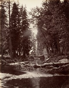 Hutchings Hotel, Yosemite, ca. 1872, stampato ca. 1876 da Carleton Emmons Watkins