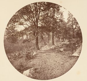 Nella valle di Yosemite da Carleton Emmons Watkins