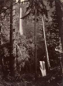 Cascate Multnomah, Oregon, 1867, stampato successivamente da Carleton Emmons Watkins